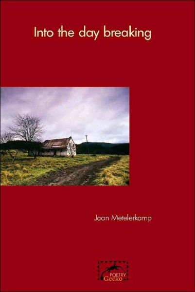 Cover for Joan Metelerkamp · Into the Day Breaking (Paperback Book) (2001)