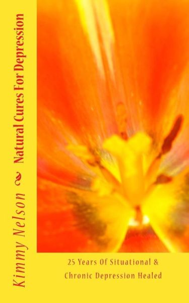 Cover for Kimmy Nelson · Natural Cures for Depression: 25 Years of Situational &amp; Chronic Depression Healed (Paperback Bog) (2014)