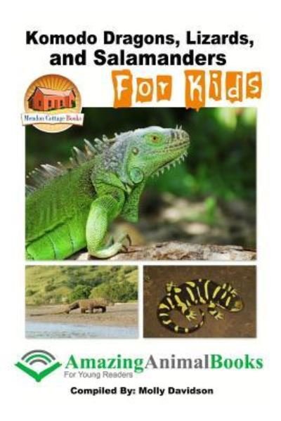 Cover for John Davidson · Komodo Dragons, Lizards, and Salamanders for Kids (Paperback Bog) (2016)