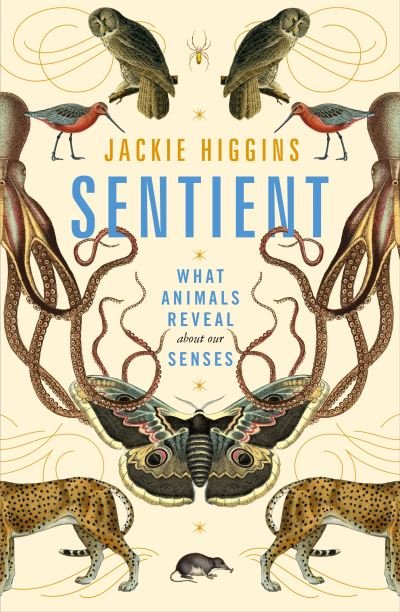 Cover for Jackie Higgins · Sentient: What Animals Reveal About Our Senses (Gebundenes Buch) (2021)