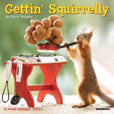 Cover for Gettin' Squirrelly 2024 7 X 7 Mini Wall Calendar (Calendar) (2023)
