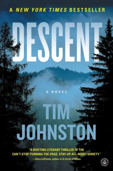 Descent: A Novel - Tim Johnston - Books - Workman Publishing - 9781616204778 - December 1, 2015