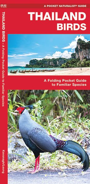 Cover for James Kavanagh · Thailand Birds: A Folding Pocket Guide to Familiar Species (Pamphlet) (2017)