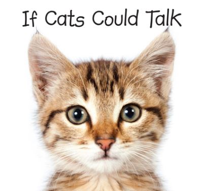 If Cats Could Talk - New Seasons - Bücher - NEW SEASONS - 9781680225778 - 15. August 2016