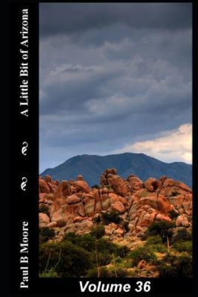 Cover for Paul Moore · A Little Bit of Arizona (Pocketbok) (2018)