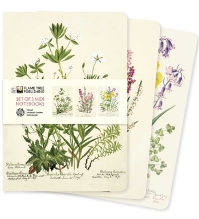 Royal Botanic Garden Edinburgh Set of 3 Midi Notebooks - Midi Notebook Collections - - Livros - Flame Tree Publishing - 9781804177778 - 27 de fevereiro de 2024