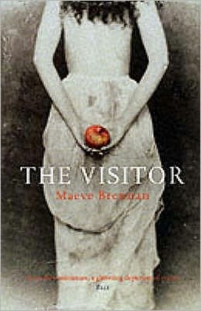 The Visitor - Maeve Brennan - Books - Atlantic Books - 9781903809778 - April 8, 2002