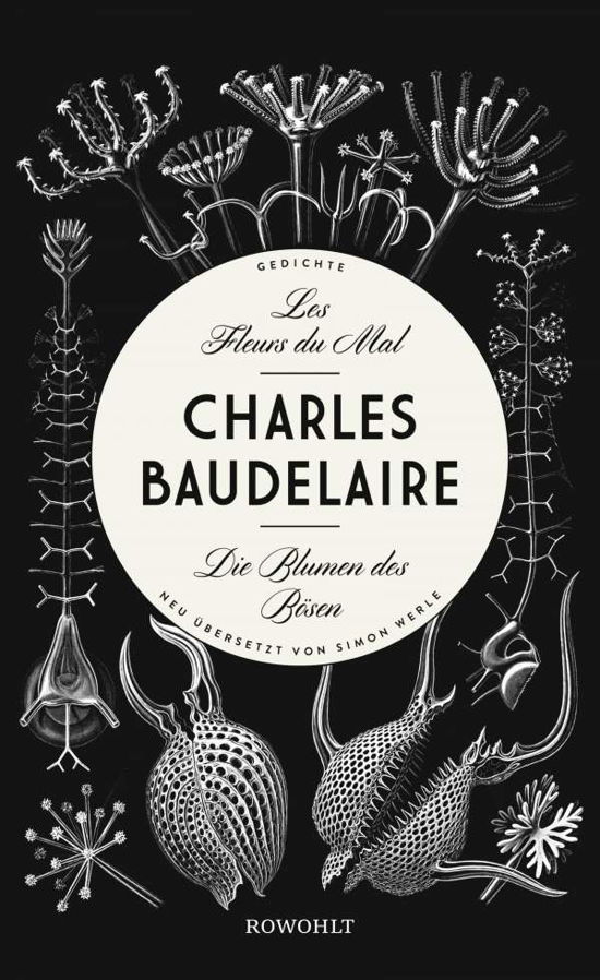 Les Fleurs du Mal - Die Blum - Baudelaire - Books -  - 9783498006778 - 