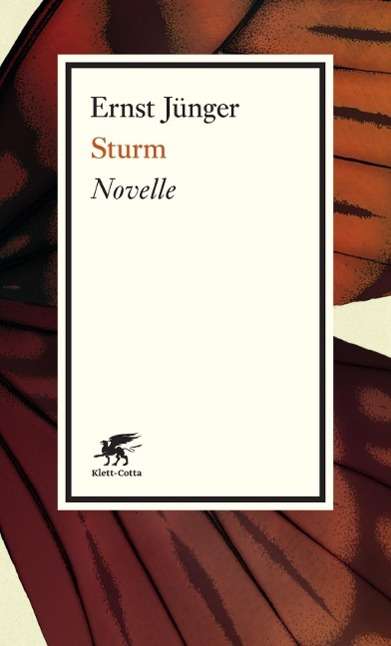 Cover for Jünger · Sturm (Book)