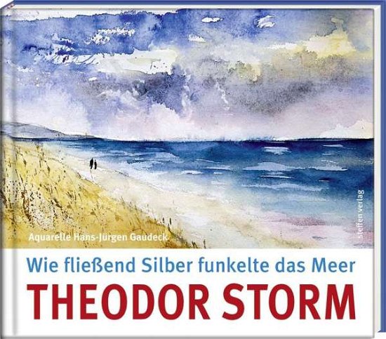 Cover for Storm · Wie fließend Silber funkelte das (Bog)