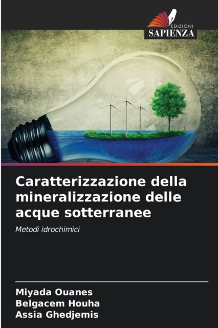 Cover for Miyada Ouanes · Caratterizzazione della mineralizzazione delle acque sotterranee (Paperback Bog) (2021)