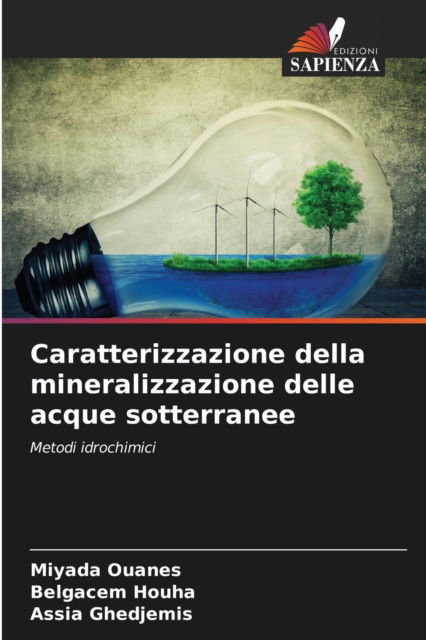 Cover for Miyada Ouanes · Caratterizzazione della mineralizzazione delle acque sotterranee (Paperback Book) (2021)