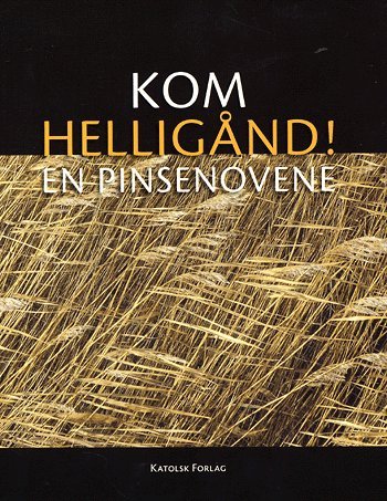 Cover for Sebastian Olden-Jørgensen · Kom helligånd! (Paperback Book) [1. Painos] (2005)