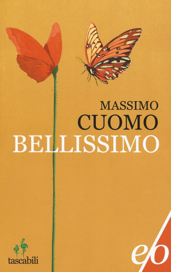 Cover for Massimo Cuomo · Bellissimo (Book)