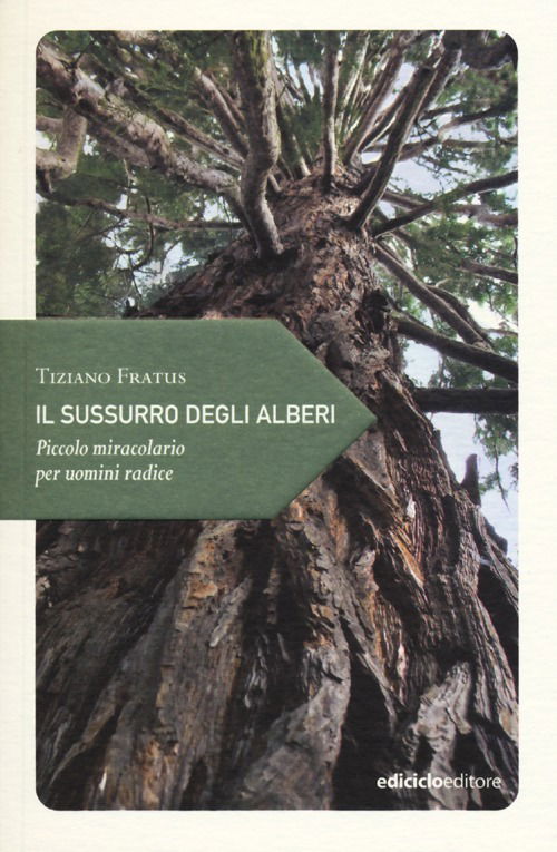 Cover for Tiziano Fratus · Il Sussurro Degli Alberi. Piccolo Miracolario Per Uomini Radice (Book)