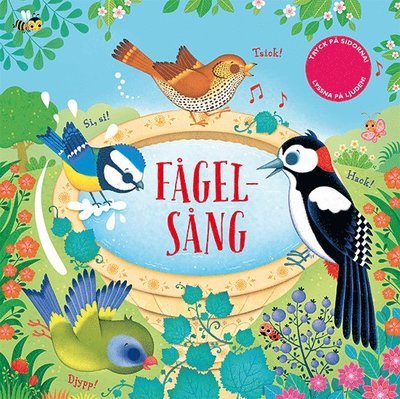 Cover for Sam Taplin · Fågelsång (Board book) (2021)