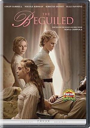 Cover for Beguiled (DVD) (2017)