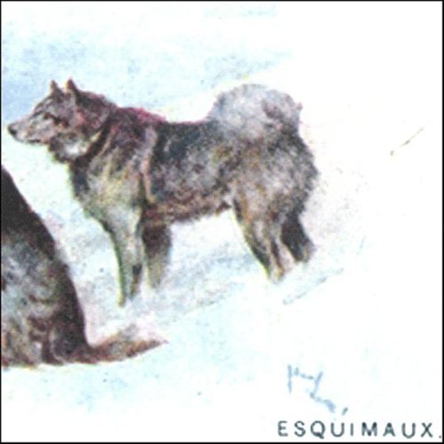 Cover for Esquimaux · Perfecto! (CD) (2005)