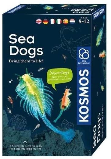 Sea Dogs - KOSMOS Experimenteerset - Merchandise - Franckh-Kosmos - 4002051616779 - 