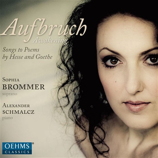 Cover for S. Brommer · Aufbruch (CD) (2014)