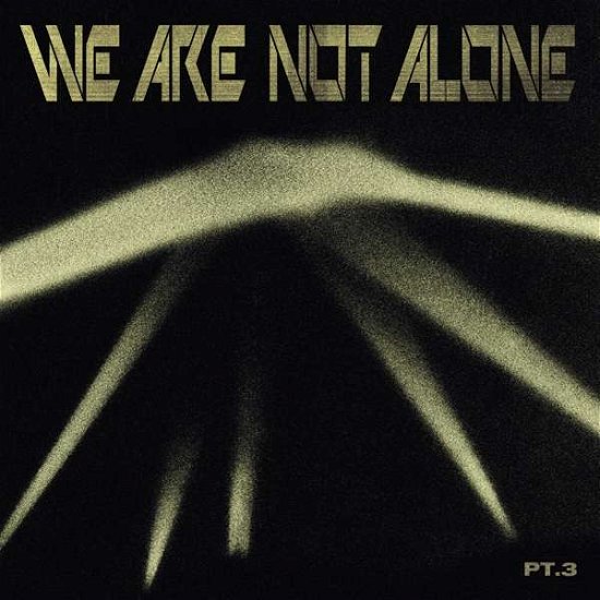 Cover for Various Artists · We Are Not Alone Pt.3 (LP) (2021)