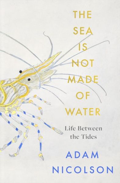 Cover for Adam Nicolson · The Sea is Not Made of Water: Life Between the Tides (Hardcover Book) (2021)