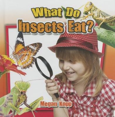 Cover for Megan Kopp · What Do Insects Eat? - Insects Close-Up (Paperback Book) (2015)