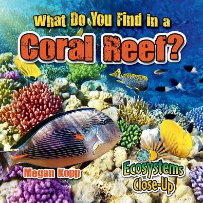 Cover for Megan Kopp · What Do You Find in a Coral Reef? - Ecosystems Close-Up (Paperback Book) (2016)