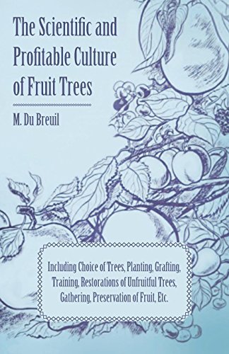 Cover for M. Du Breuil · The Scientific and Profitable Culture of Fruit Trees Including Choice of Trees, Planting, Grafting, Training, Restorations of Unfruitful Trees, and Th (Paperback Book) (2009)