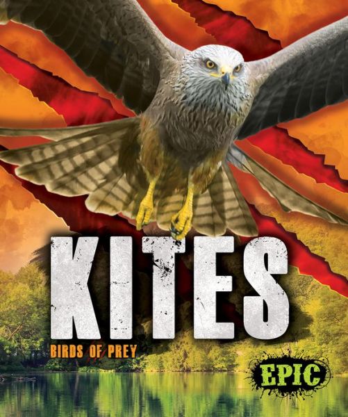 Cover for Nathan Sommer · Kites - Birds of Prey (Hardcover Book) (2020)