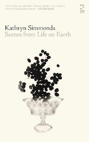 Cover for Kathryn Simmonds · Scenes from Life on Earth - Salt Modern Poets (Paperback Book) (2022)