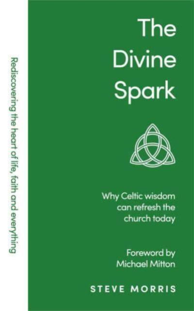 Cover for Steve Morris · The Divine Spark - Rediscovering Faith Life And Everything (Paperback Book) (2020)