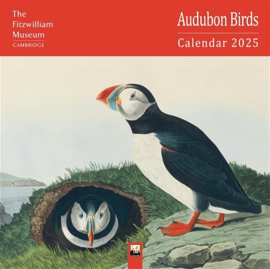 Fitzwilliam Museum: Audubon Birds Wall Calendar 2025 (Art Calendar) (Calendar) [New edition] (2024)