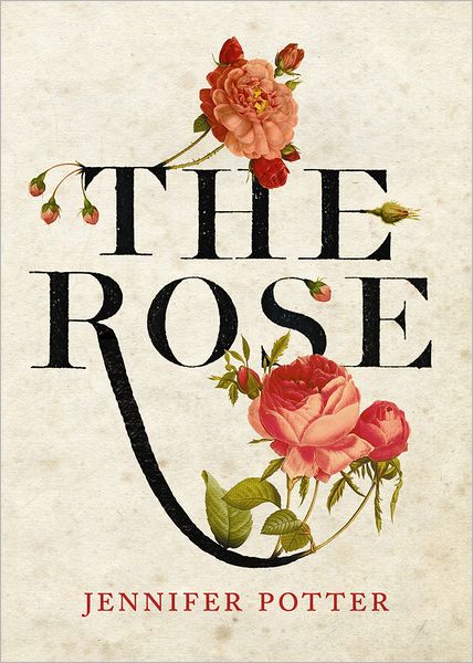 Cover for Jennifer Potter · The Rose (Hardcover Book) (2013)