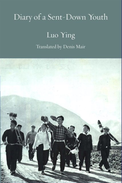 Cover for Luo Ying · Journal of the Cultural Revolution (Paperback Book) (2024)