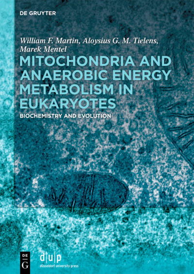 Mitochondria and Anaerobic Energ - Martin - Livros -  - 9783110666779 - 7 de dezembro de 2020