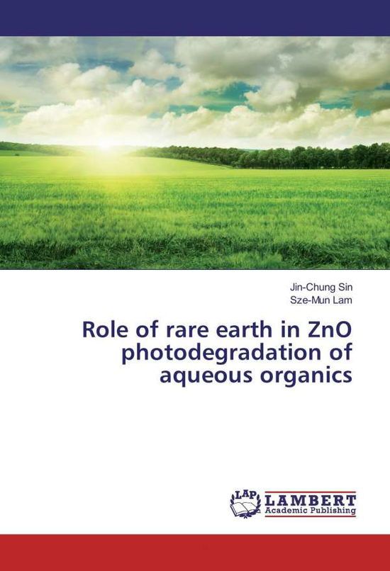 Cover for Sin · Role of rare earth in ZnO photodegr (Book)