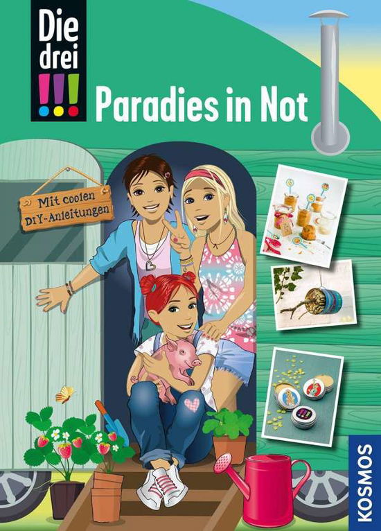 Die drei !!!, Paradies in Not - Heger - Bücher -  - 9783440170779 - 