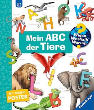 Cover for Susanne Gernhäuser · Wieso? Weshalb? Warum? Sonderband - Mein ABC der Tiere (Book) (2025)
