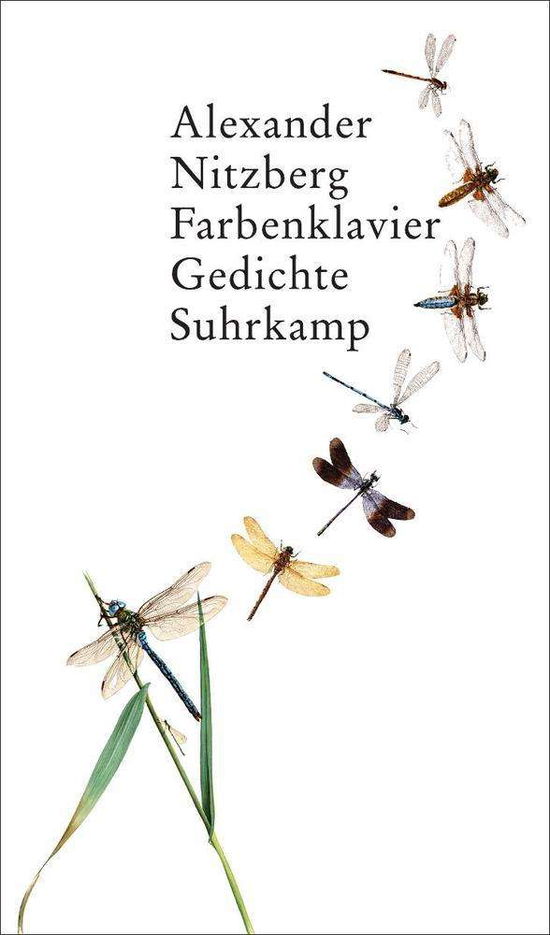 Cover for Alexander Nitzberg · Nitzberg:farbenklavier (Book)