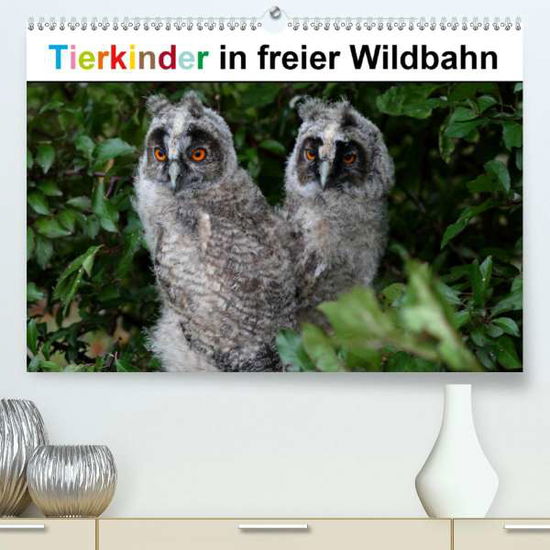 Cover for Bachmeier · Tierkinder in freier Wildbahn (Book)