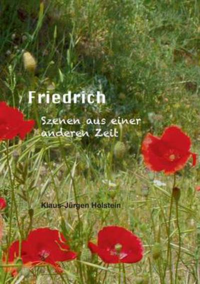Cover for Klaus-jurgen Holstein · Friedrich (Paperback Book) [German edition] (2014)