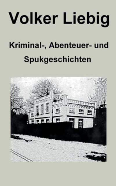 Cover for Volker Liebig · Kriminal-, Abenteuer- und Spukgeschichten (Paperback Book) (2021)