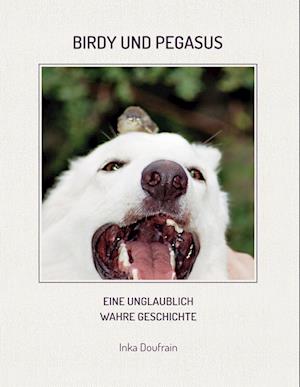 Cover for Inka Doufrain · Birdy &amp; Pegasus (Book) (2022)