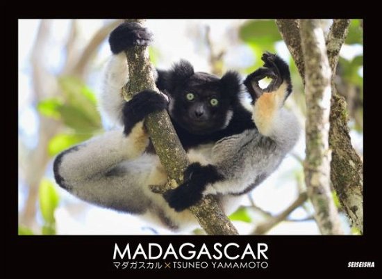 Cover for Tsuneo Yamamoto · Madagascar (Paperback Book) (2018)