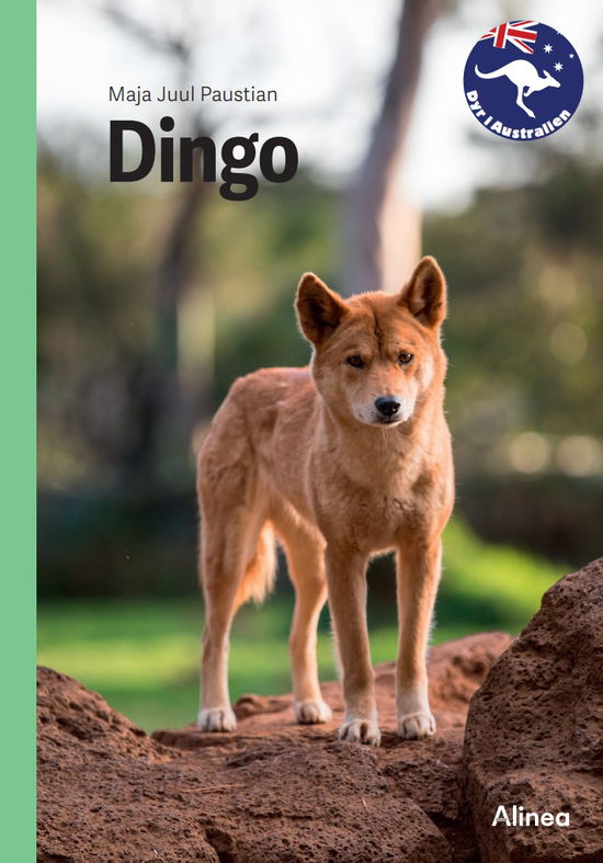 Maja Juul Paustian · Dyr i Australien: Dingo, Grøn Fagklub (Bound Book) [1e uitgave] (2024)