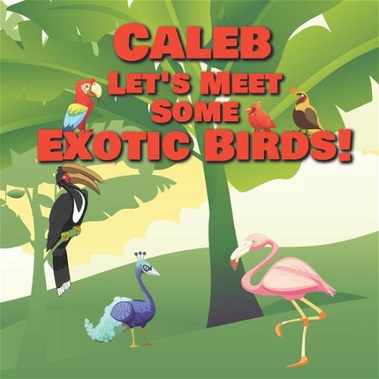 Cover for Chilkibo Publishing · Caleb Let's Meet Some Exotic Birds! (Paperback Book) (2020)