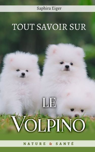 Cover for Saphira Eiger · Tout Savoir sur le Volpino Italiano - Mon Ami Le Chien (Paperback Bog) (2021)