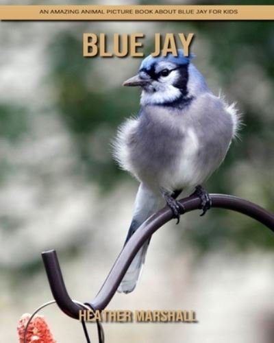 Cover for Heather Marshall · Blue Jay: An Amazing Animal Picture Book about Blue Jay for Kids (Pocketbok) (2021)