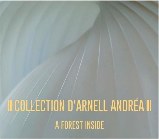 Cover for Collection D'Arnell Andrea · A Forest Inside (CD) (2023)